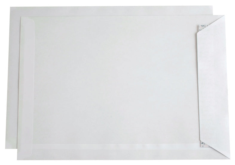 B4 Pose Mailman 100g SKD (250)