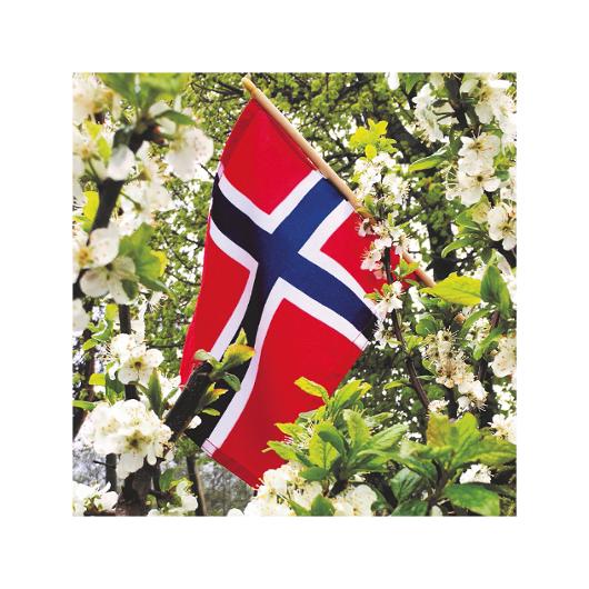 Serviett 17.maiflagg 3L 33x33cm (20)